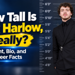How Tall Is Jack Harlow Really Height, Bio, and Career Facts