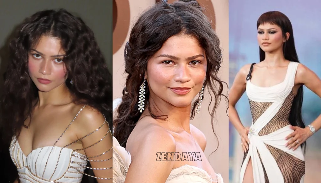 Zendaya Height, Age, Family, and Career What Fans Want to Know