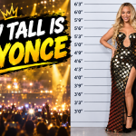 How Tall Is Beyonce Her Real Height and Fun Facts