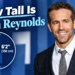 How Tall Is Ryan Reynolds? Inside the Life of the Deadpool Star