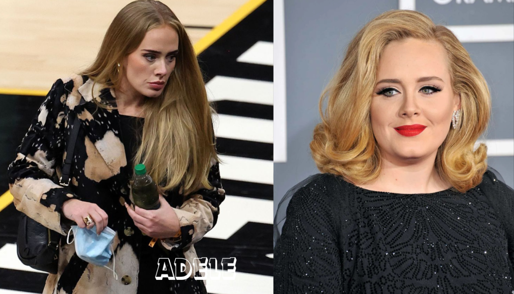 Adele Height and Life Story: Everything Fans Want to Know